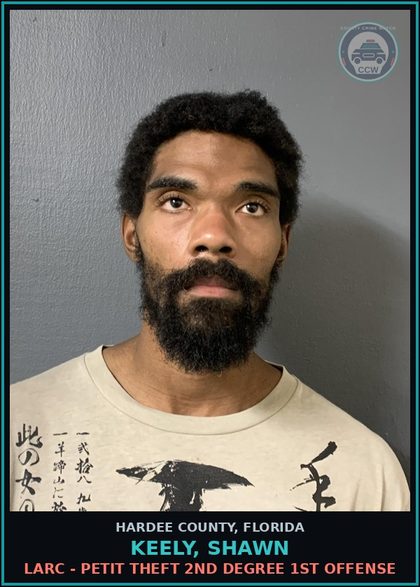 CCW arrest card for Keely, Shawn in Hardee County: LARC - PETIT THEFT 2ND DEGREE 1ST OFFENSE