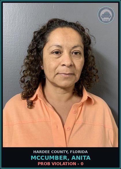 CCW arrest card for Mccumber, Anita in Hardee County: PROB VIOLATION - 0