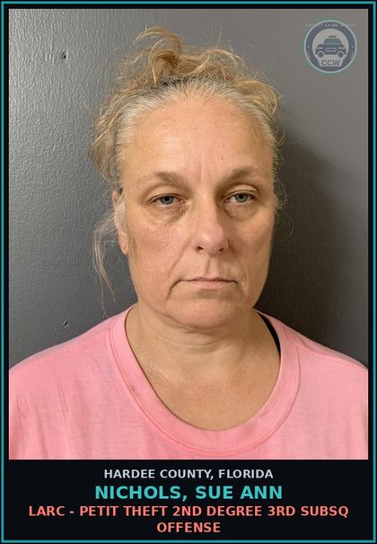CCW arrest card for Nichols, Sue Ann in Hardee County: LARC - PETIT THEFT 2ND DEGREE 3RD SUBSQ OFFENSE