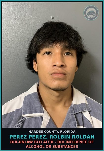 CCW arrest card for Perez Perez, Rolbin Roldan in Hardee County: DUI-UNLAW BLD ALCH - DUI INFLUENCE OF ALCOHOL OR SUBSTANCES