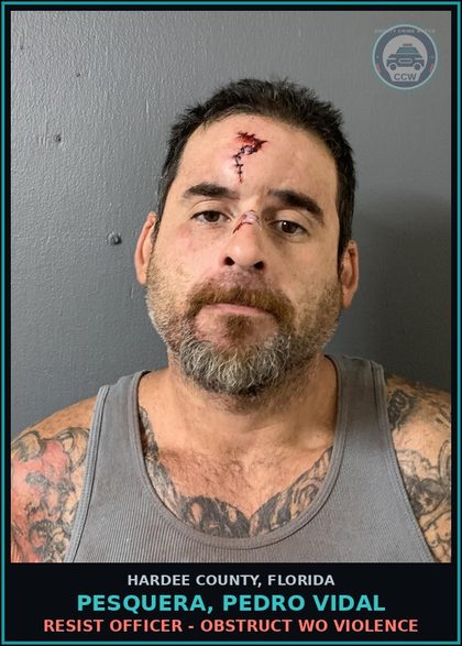 CCW arrest card for Pesquera, Pedro Vidal in Hardee County: RESIST OFFICER - OBSTRUCT WO VIOLENCE