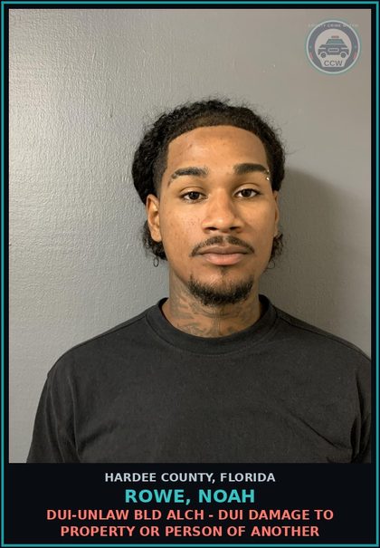 CCW arrest card for Rowe, Noah in Hardee County: DUI-UNLAW BLD ALCH - DUI DAMAGE TO PROPERTY OR PERSON OF ANOTHER