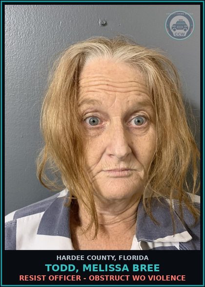 CCW arrest card for Todd, Melissa Bree in Hardee County: RESIST OFFICER - OBSTRUCT WO VIOLENCE