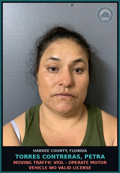 CCW arrest card for Torres Contreras, Petra in Hardee County: MOVING TRAFFIC VIOL - OPERATE MOTOR VEHICLE WO VALID LICENSE