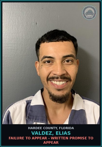 CCW arrest card for Valdez, Elias in Hardee County: FAILURE TO APPEAR - WRITTEN PROMISE TO APPEAR