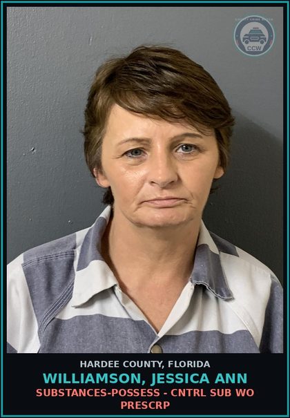 CCW arrest card for Williamson, Jessica Ann in Hardee County: SUBSTANCES-POSSESS - CNTRL SUB WO PRESCRP