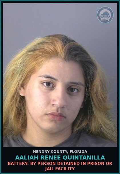 CCW arrest card for AALIAH RENEE QUINTANILLA in Hendry County: DAMAGE PROP-CRIM MISCH: CRIMINAL MISCHIEF DMG PROPERTY $200-$1000