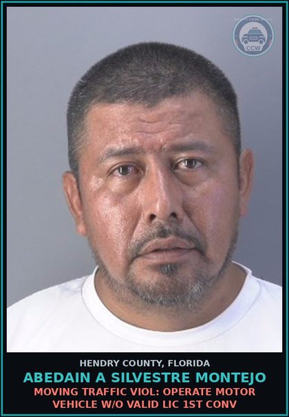 CCW arrest card for ABEDAIN A SILVESTRE MONTEJO in Hendry County: MOVING TRAFFIC VIOL: OPERATE MOTOR VEHICLE W/O VALID LIC 1ST CONV