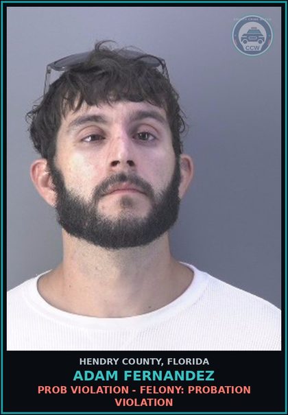CCW arrest card for ADAM FERNANDEZ in Hendry County: PROB VIOLATION - FELONY: PROBATION VIOLATION