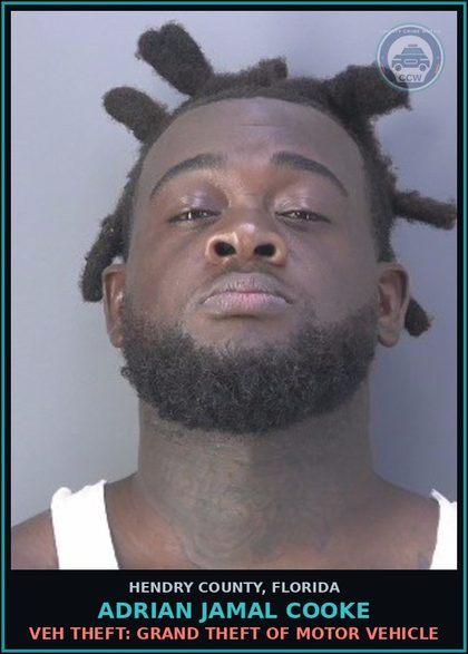 CCW arrest card for ADRIAN JAMAL COOKE in Hendry County: VEH THEFT: GRAND THEFT OF MOTOR VEHICLE