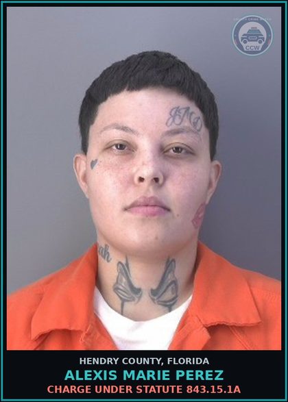 CCW arrest card for ALEXIS MARIE PEREZ in Hendry County: Charge under statute 843.15.1A