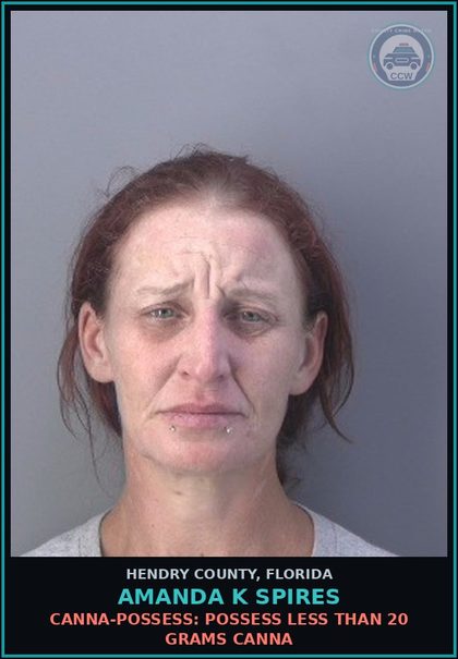 CCW arrest card for AMANDA K SPIRES in Hendry County: Canna-POSSESS: POSSESS LESS THAN 20 GRAMS Canna
