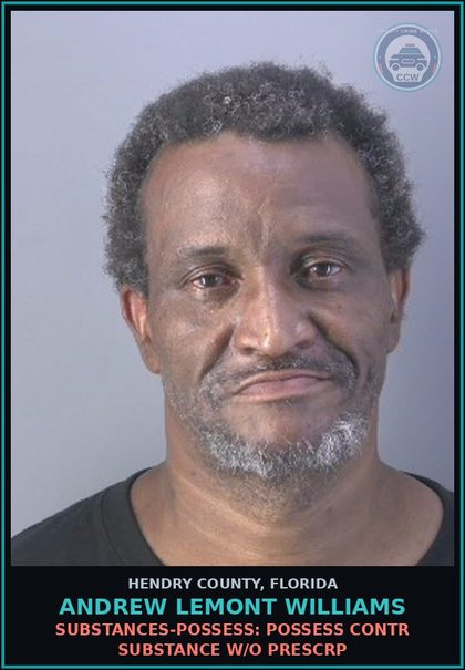 CCW arrest card for ANDREW LEMONT WILLIAMS in Hendry County: DRUGS-POSSESS: POSSESS contr substance W/O PRESCRIPTION