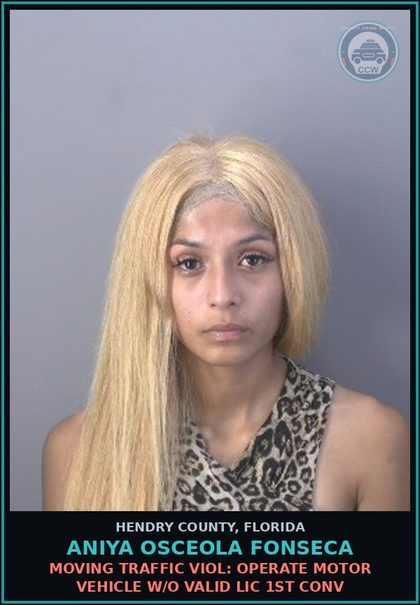 CCW arrest card for ANIYA OSCEOLA FONSECA in Hendry County: MOVING TRAFFIC VIOL: OPERATE MOTOR VEHICLE W/O VALID LIC 1ST CONV