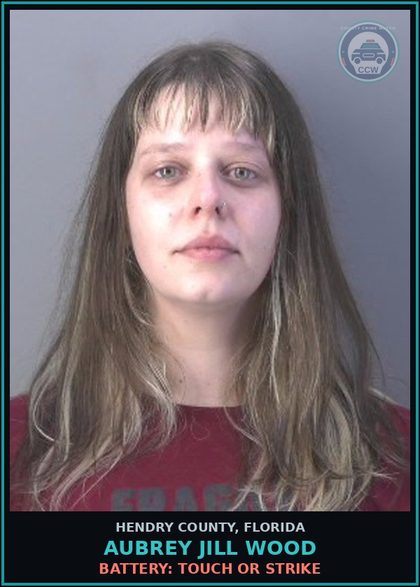CCW arrest card for AUBREY JILL WOOD in Hendry County: BATTERY: TOUCH OR STRIKE