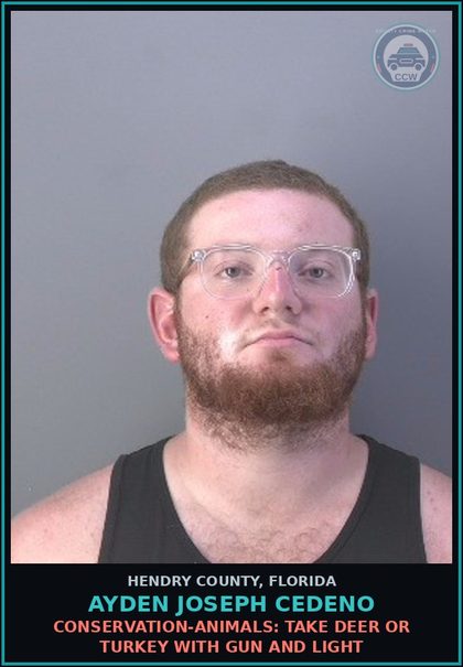 CCW arrest card for AYDEN JOSEPH CEDENO in Hendry County: CONSERVATION-ANIMALS: TAKE DEER OR TURKEY WITH GUN AND LIGHT