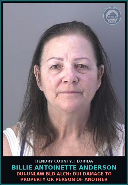 CCW arrest card for BILLIE ANTOINETTE ANDERSON in Hendry County: DUI-UNLAW BLD ALCH: DUI DAMAGE TO PROPERTY OR PERSON OF ANOTHER