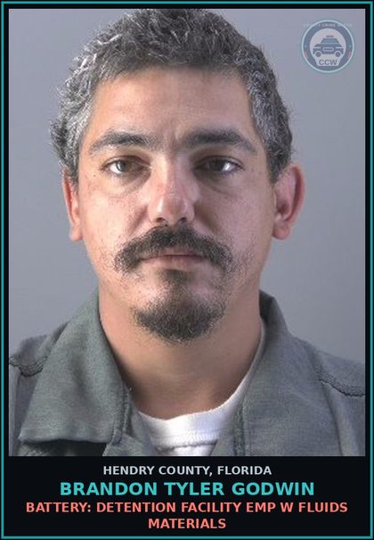 CCW arrest card for BRANDON TYLER GODWIN in Hendry County: BATTERY: DETENTION FACILITY EMP W FLUIDS MATERIALS