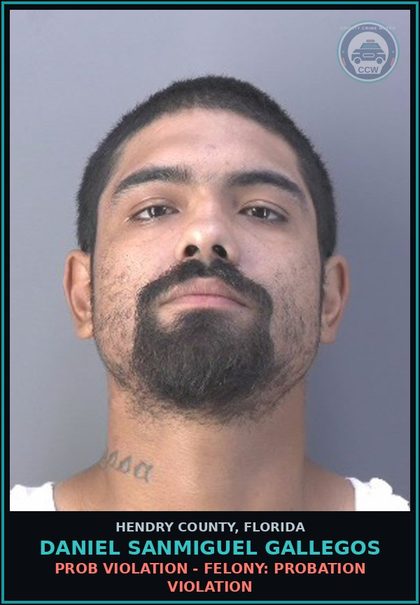 CCW arrest card for DANIEL SANMIGUEL GALLEGOS in Hendry County: PROB VIOLATION - FELONY: PROBATION VIOLATION