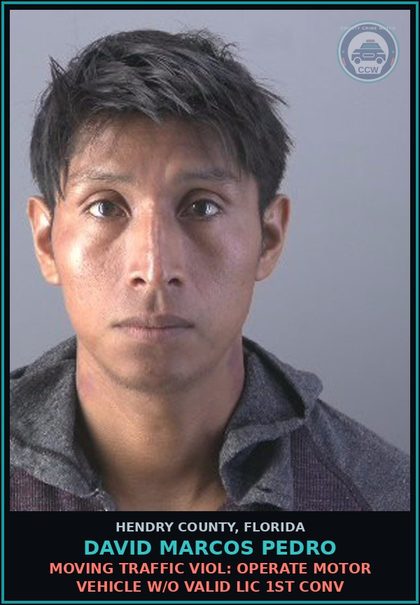 CCW arrest card for DAVID MARCOS PEDRO in Hendry County: MOVING TRAFFIC VIOL: OPERATE MOTOR VEHICLE W/O VALID LIC 1ST CONV