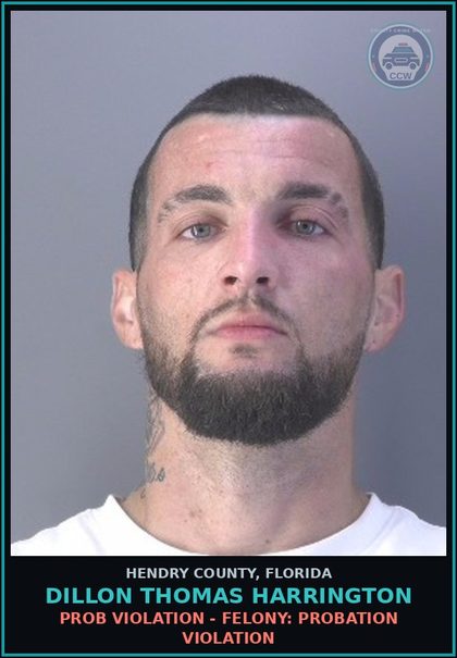 CCW arrest card for DILLON THOMAS HARRINGTON in Hendry County: PROB VIOLATION - FELONY: PROBATION VIOLATION