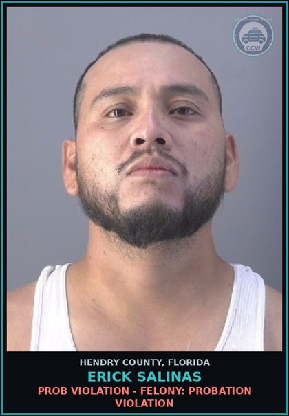 CCW arrest card for ERICK SALINAS in Hendry County: PROB VIOLATION - FELONY: PROBATION VIOLATION