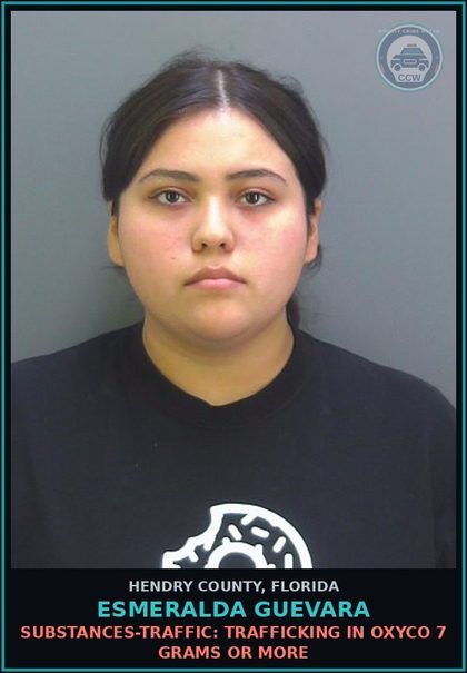 CCW arrest card for ESMERALDA GUEVARA in Hendry County: DRUGS-TRAFFIC: TRAFFICKING IN oxyco 7 GRAMS OR MORE