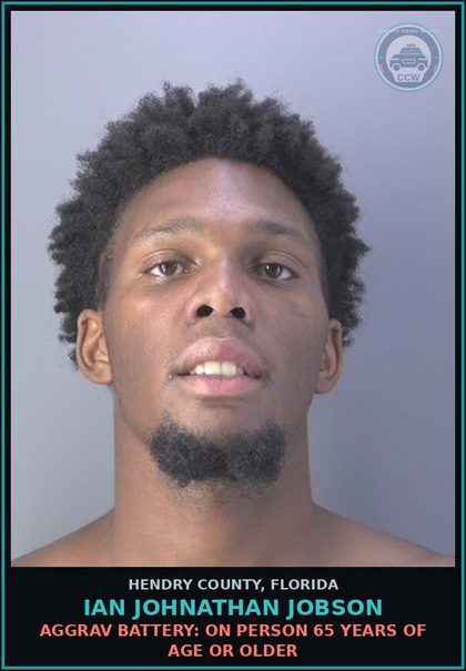 CCW arrest card for IAN JOHNATHAN JOBSON in Hendry County: DAMAGE PROP-CRIM MISCH: CRIMINAL MISCHEIF DAMAGE PROPERTY
