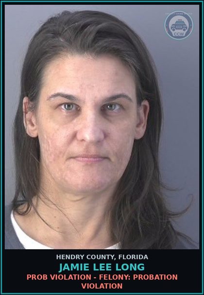 CCW arrest card for JAMIE LEE LONG in Hendry County: PROB VIOLATION - FELONY: PROBATION VIOLATION