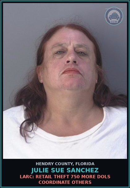 CCW arrest card for JULIE SUE SANCHEZ in Hendry County: LARC: RETAIL THEFT 750 MORE DOLS COORDINATE OTHERS