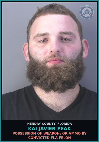 CCW arrest card for KAI JAVIER PEAK in Hendry County: DRUGS-POSSESS: POSSESS contr substance W/O PRESCRIPTION
