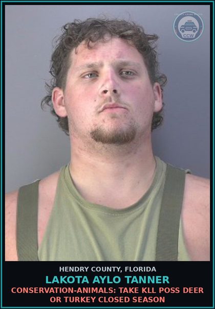 CCW arrest card for LAKOTA AYLO TANNER in Hendry County: CONSERVATION: VIOL LEVEL 2 FWC RULE OR REG 1ST OFFENSE