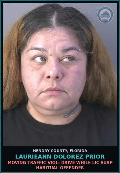 CCW arrest card for LAURIEANN DOLOREZ PRIOR in Hendry County: MOVING TRAFFIC VIOL: DRIVE WHILE LIC SUSP HABITUAL OFFENDER