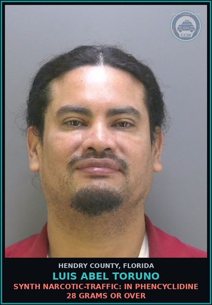 CCW arrest card for LUIS ABEL TORUNO in Hendry County: SYNTH NARCOTIC-TRAFFIC: IN PHENCYCLIDINE 28 GRAMS OR OVER