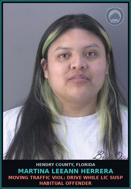 CCW arrest card for MARTINA LEEANN HERRERA in Hendry County: MOVING TRAFFIC VIOL: DRIVE WHILE LIC SUSP HABITUAL OFFENDER