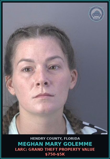 CCW arrest card for MEGHAN MARY GOLEMME in Hendry County: LARC: GRAND THEFT PROPERTY VALUE $750-$5K