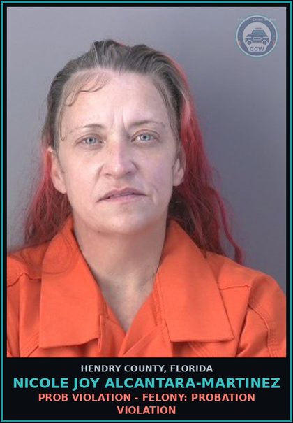 CCW arrest card for NICOLE JOY ALCANTARA-MARTINEZ in Hendry County: PROB VIOLATION - FELONY: PROBATION VIOLATION