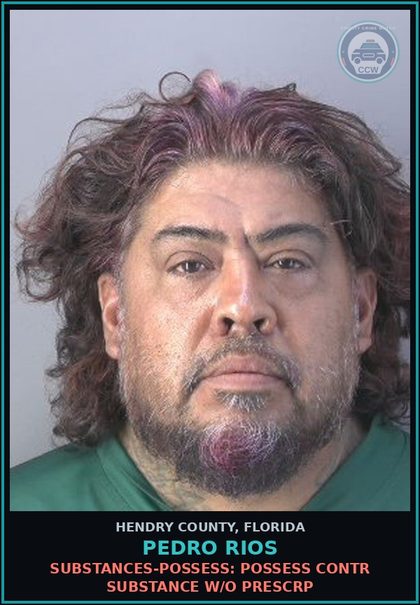 CCW arrest card for PEDRO RIOS in Hendry County: DRUGS-POSSESS: POSSESS contr substance W/O PRESCRIPTION