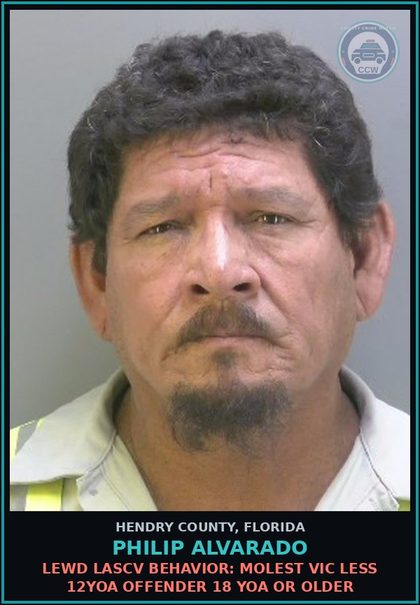 CCW arrest card for PHILIP ALVARADO in Hendry County: LEWD LASCV BEHAVIOR: MOLEST VIC LESS 12YOA OFFENDER 18 YOA OR OLDER