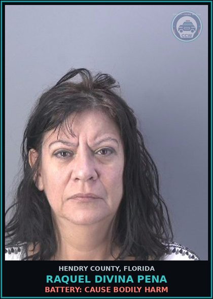 CCW arrest card for RAQUEL DIVINA PENA in Hendry County: BATTERY: CAUSE BODILY HARM
