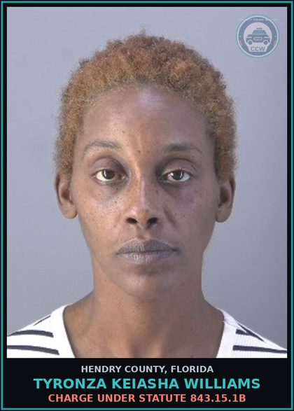 CCW arrest card for TYRONZA KEIASHA WILLIAMS in Hendry County: Charge under statute 843.15.1B