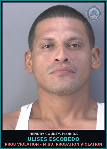 CCW arrest card for ULISES ESCOBEDO in Hendry County: PROB VIOLATION - MISD: PROBATION VIOLATION