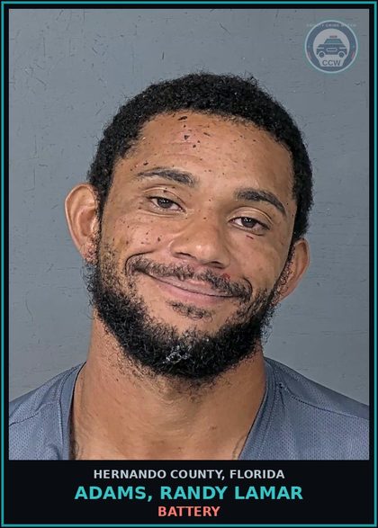 CCW arrest card for ADAMS, RANDY LAMAR in Hernando County: BATTERY