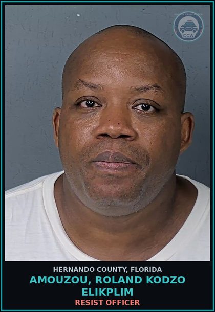 CCW arrest card for AMOUZOU, ROLAND KODZO ELIKPLIM in Hernando County: RESIST OFFICER
