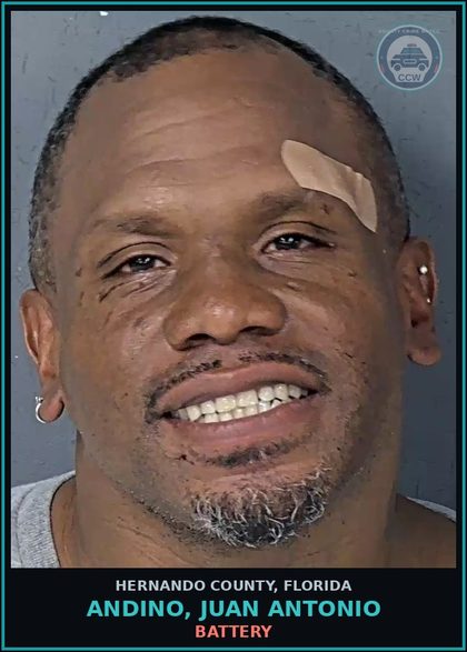 CCW arrest card for ANDINO, JUAN ANTONIO in Hernando County: BATTERY