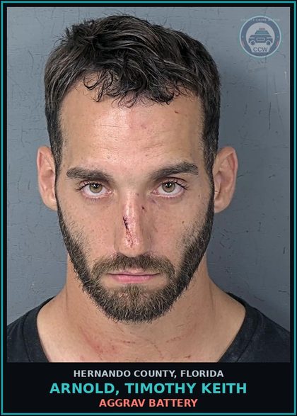 CCW arrest card for ARNOLD, TIMOTHY KEITH in Hernando County: AGGRAV BATTERY