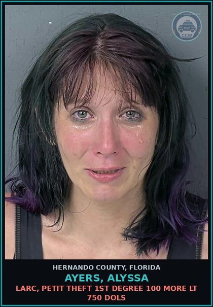 CCW arrest card for AYERS, ALYSSA in Hernando County: LARC