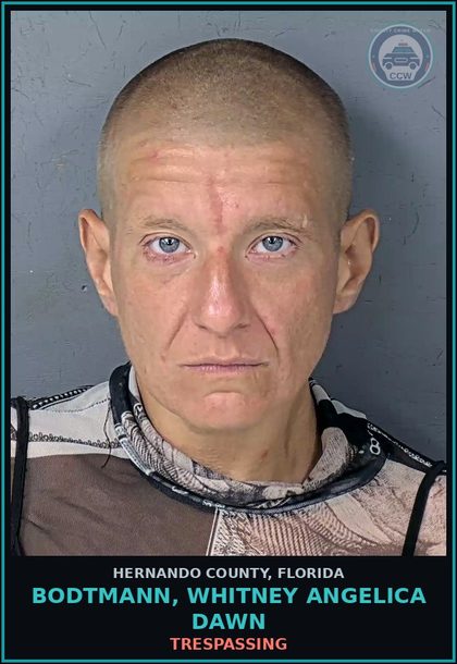 CCW arrest card for BODTMANN, WHITNEY ANGELICA DAWN in Hernando County: BURGL