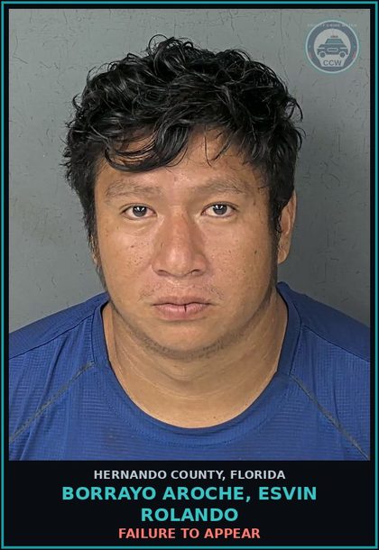 CCW arrest card for BORRAYO AROCHE, ESVIN ROLANDO in Hernando County: FAILURE TO APPEAR