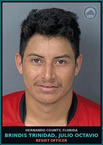 CCW arrest card for BRINDIS TRINIDAD, JULIO OCTAVIO in Hernando County: RESIST OFFICER